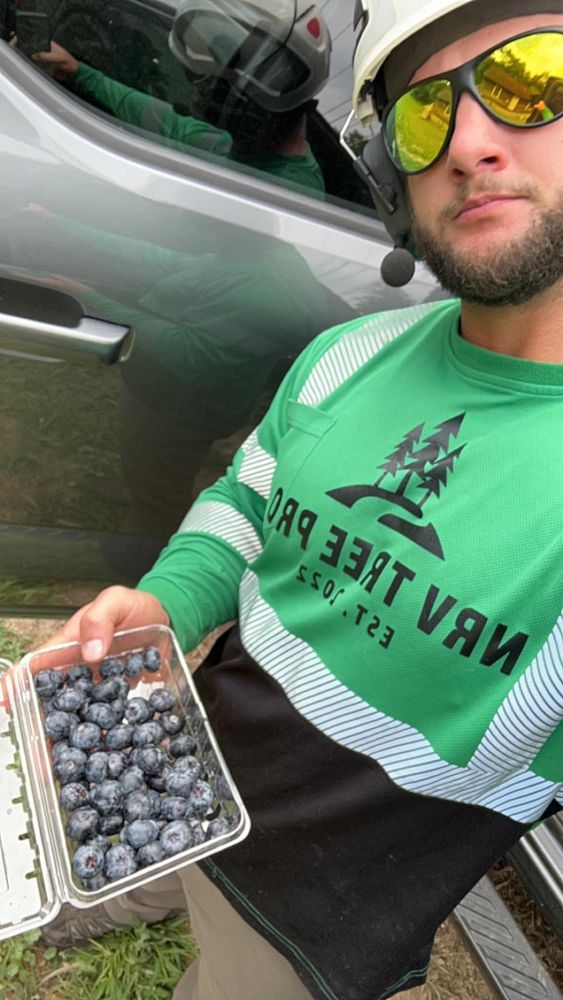 All Photos for NRV Tree Pro, LLC in Narrows, VA