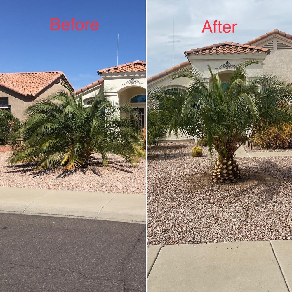 Commercial Lawn Maintenance for American Dream Landscape Company in Surprise, AZ