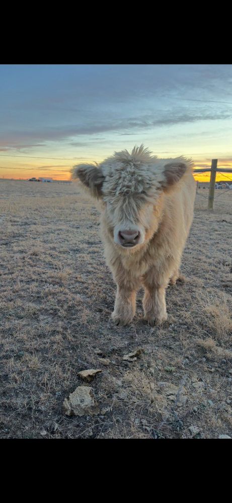 All Photos for High Plains Home and Ranch Services in Peyton, CO