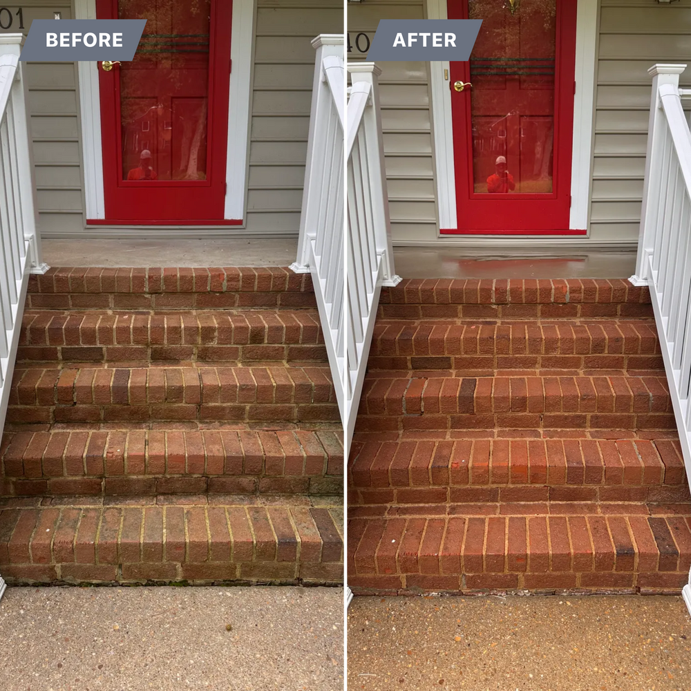 All Photos for LeafTide Solutions in Richmond, VA