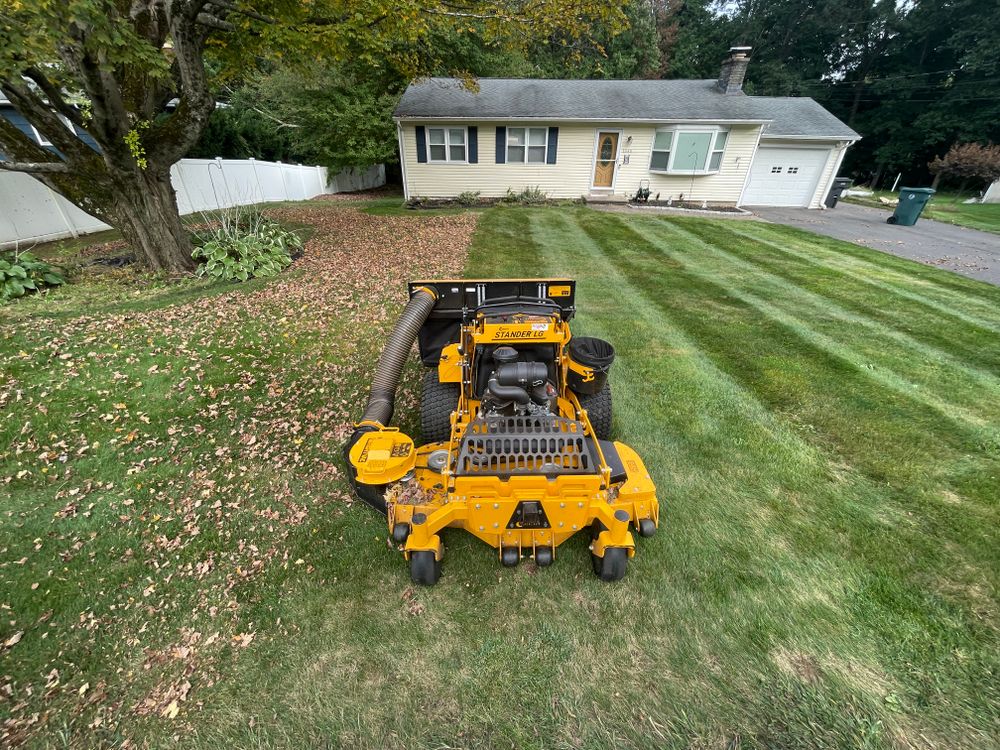 Our Fall Clean Up service ensures your yard is pristine by removing leaves, debris, and pruning plants. Prepare your landscape for winter with our efficient and thorough seasonal maintenance. for Blades of Glory LLC in Cheshire, CT