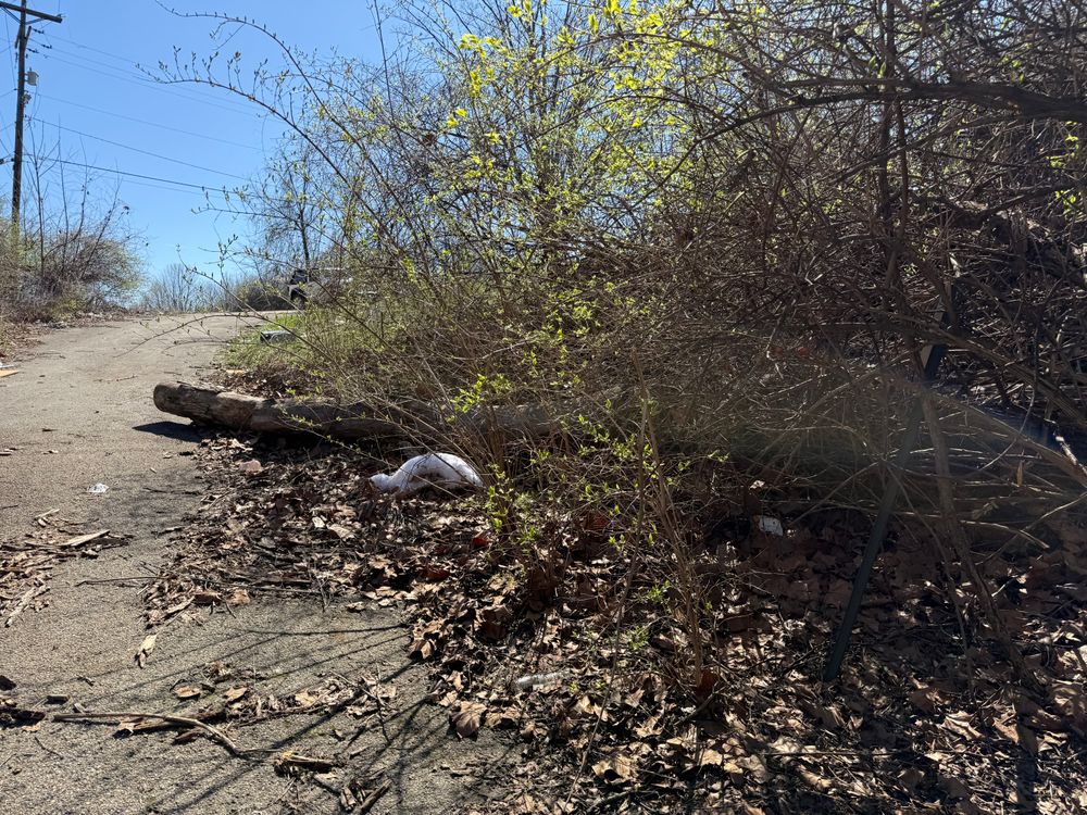 All Photos for A1 Bush Hogging & Lawn Service in London, OH