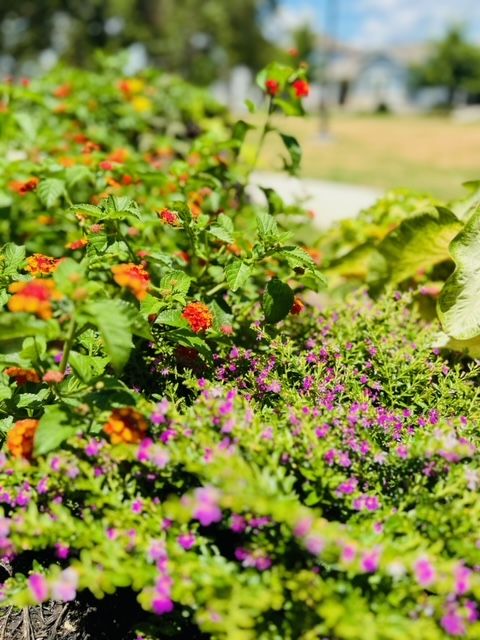 All Photos for Rustic Roots Landscaping in Austin, TX