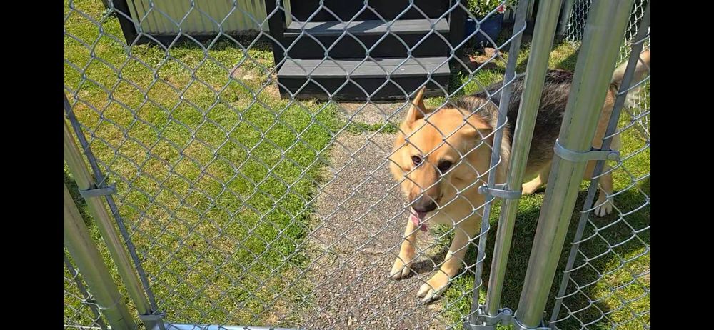 Our Chainlink Fences service offers durable installation and expert fence repair, ensuring your home's security and aesthetics remain top-notch. Trust us to protect and enhance your property with quality workmanship. for Backyard Fence Solutions LLC in Uniontown, PA