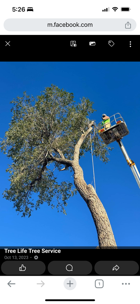 All Photos for Tree Life Tree Service in Wichita, KS
