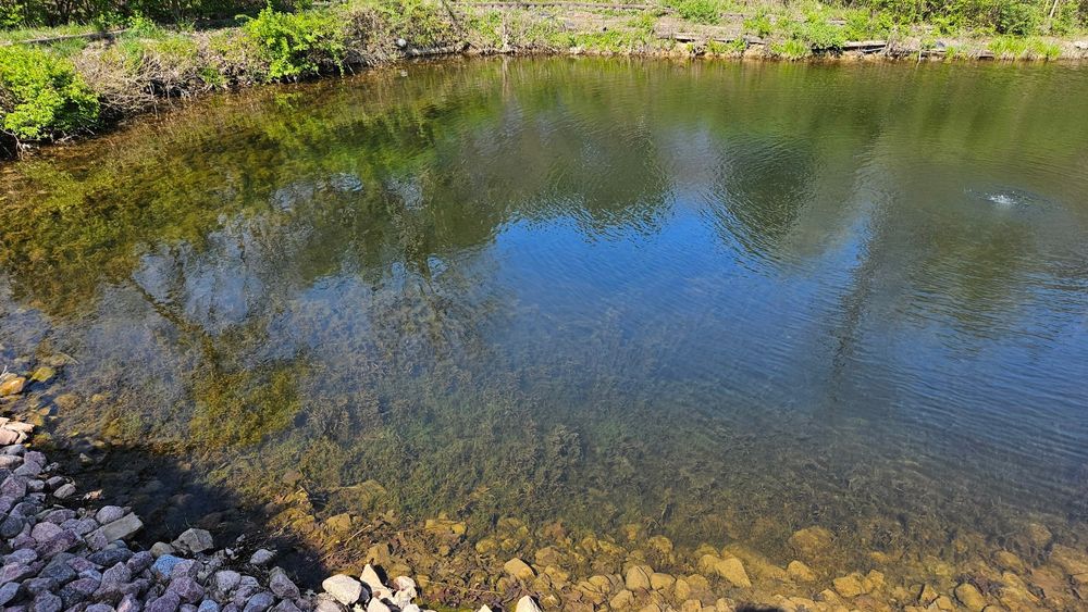 Pond Maintenance  for From the Ground Up Landscaping & Lawncare in New Lenox, IL