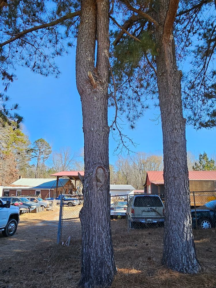All Photos for Lanes Outdoor Solutions in Lexington, NC