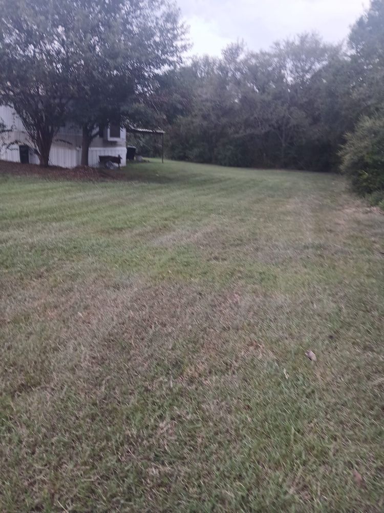 Landscaping  for Aguilar Lawn Services in Bryan, TX