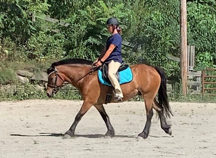 Lessons for Blue Stone Farm in Wantage, NJ