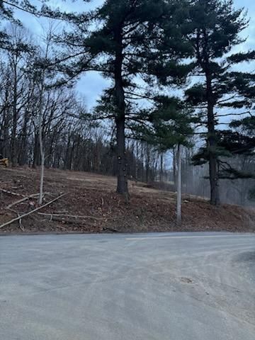 All Photos for JJ Tree Service in Gibsonia, PA