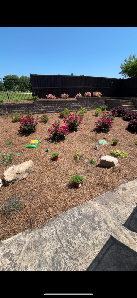 Enhance your landscape with our expert Shrub & Small Tree Installation service, providing vibrant greenery and structured beauty tailored to your space, boosting curb appeal and promoting a healthy, thriving garden environment. for WD Lawn Services in Loganville, GA