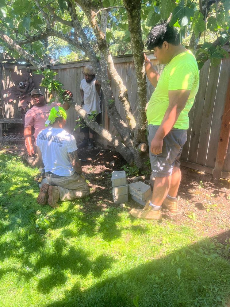 All Photos for T&S Tree Care LLC in Portland, OR