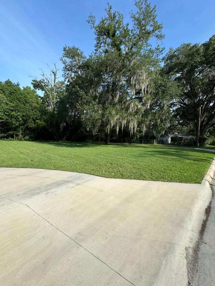 Our Fall Clean Up service ensures a tidy yard by removing leaves, dead plants, and debris, preparing your landscape for winter and promoting healthier growth come spring. Contact us today! for Young's Lawn Services LLC in Ocala, FL