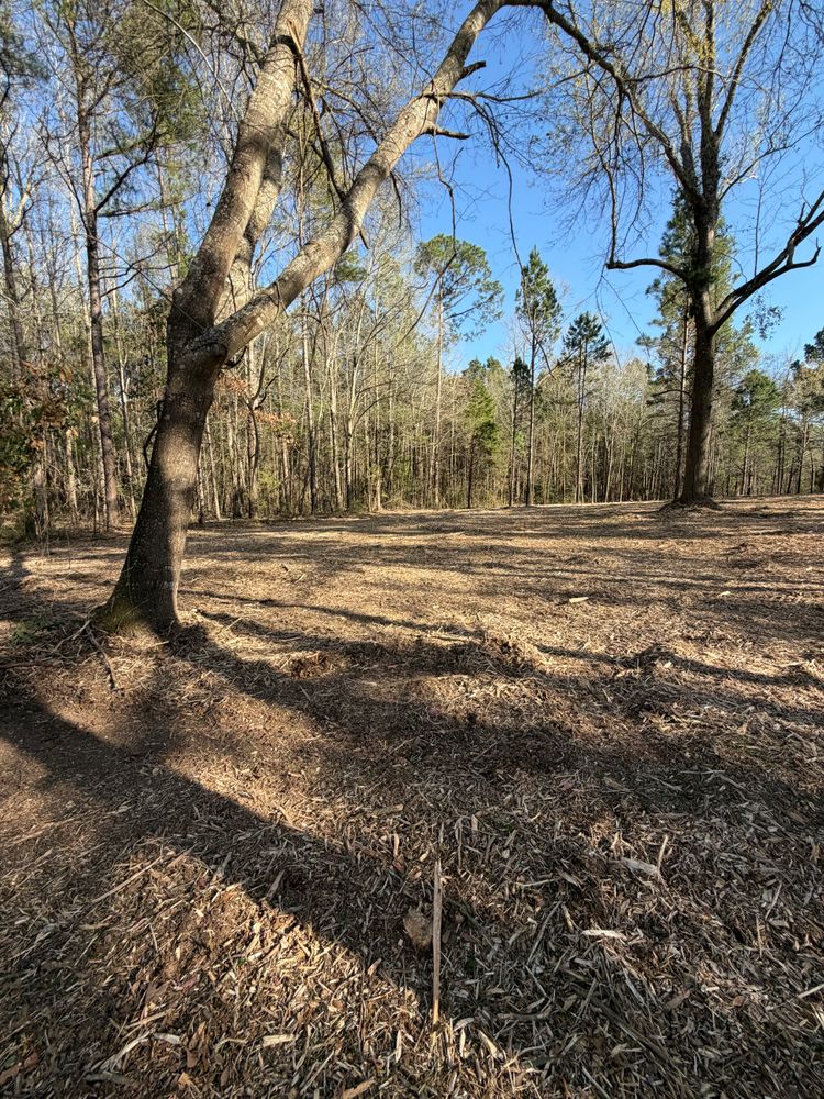 All Photos for 903 Mulching in East Mountain, TX