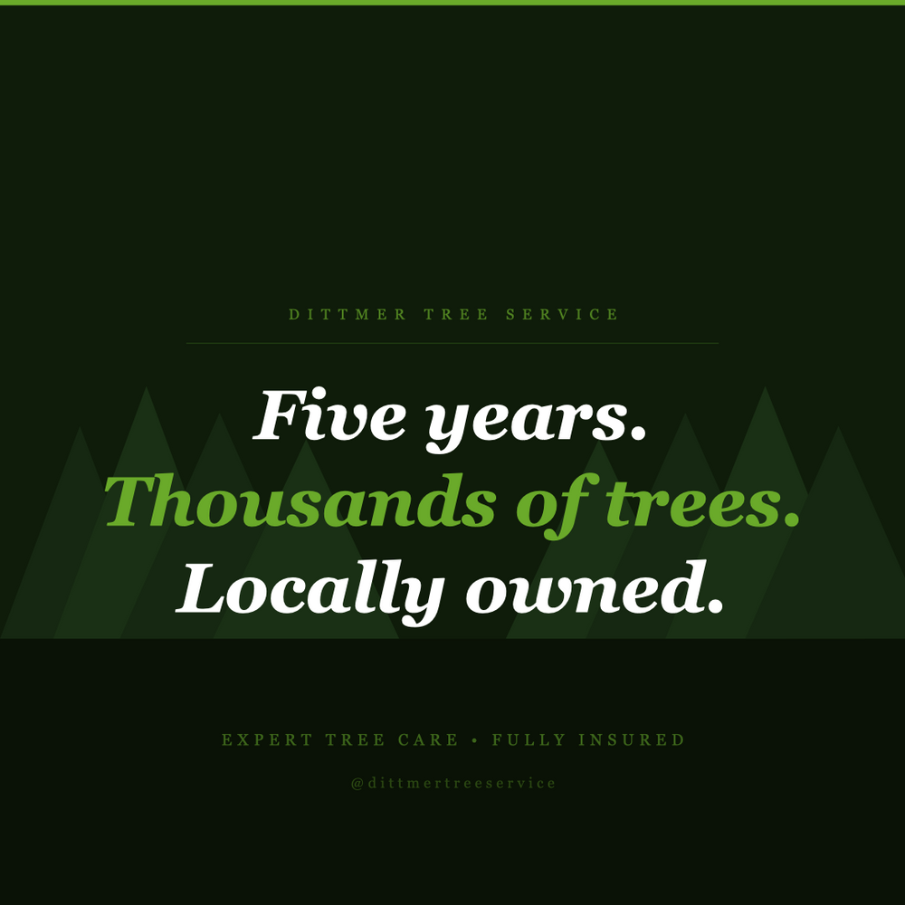 All Photos for Dittmer Tree Service in Davenport, IA