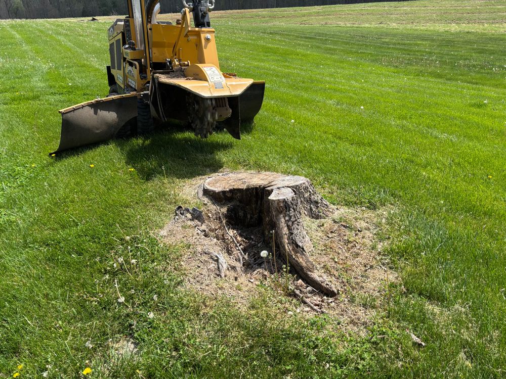 All Photos for Conrad's Stump Removal in Columbus, IN