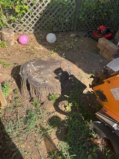 All Photos for Jills Stump Grinding and Firewood in Shelton, CT