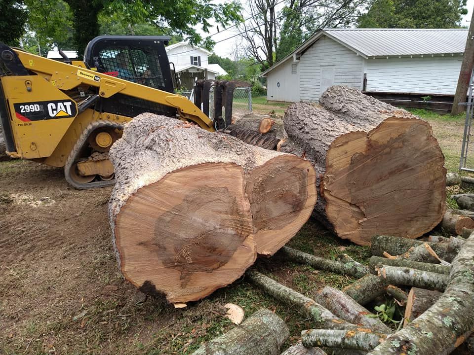Tree Removal for Scott's Tree Service in Athens, TN