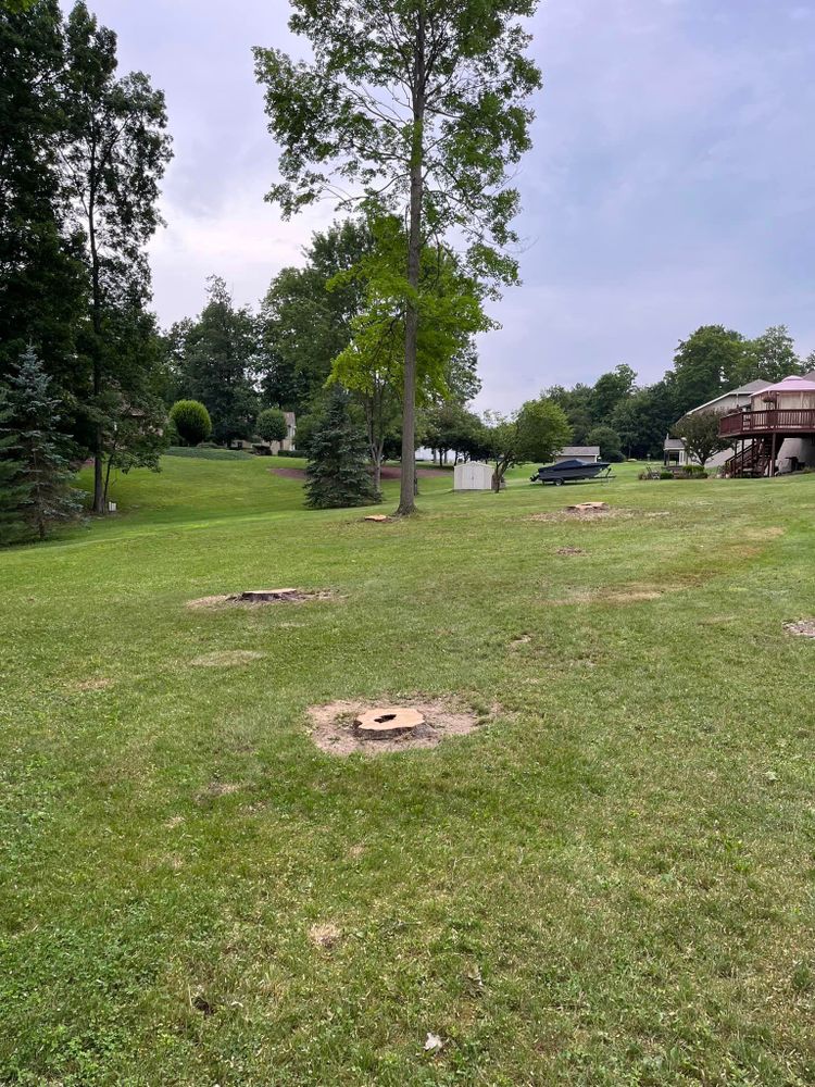 We offer professional stump removal services to fully eliminate unsightly tree stumps from your property, ensuring a clean and safe outdoor space for you and your family to enjoy. for J&E Tree & Excavation Services in Sandy, PA