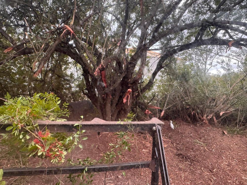 All Photos for McLeran in Naples, FL