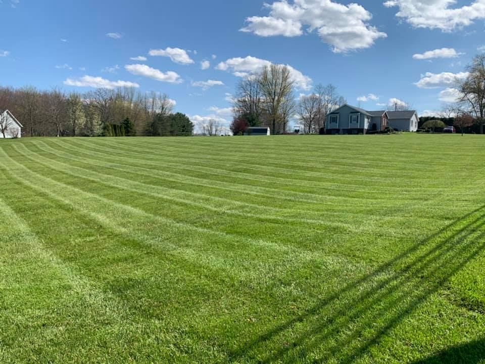 Transform your lawn with our expert Mowing service. Our team provides precise, scheduled cuts for a pristine appearance, ensuring a lush and healthy landscape that enhances your home's curb appeal. for Next Level Outdoor Services in Akron, OH