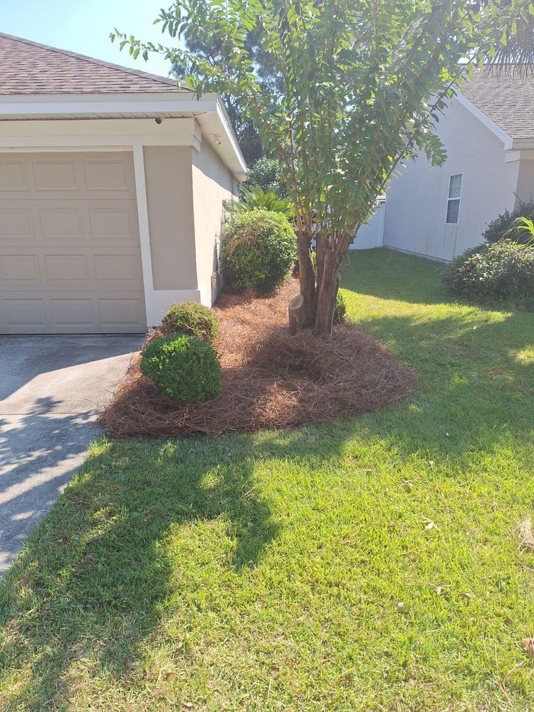 Landscaping for M&M Landscaping in Lynn Haven, FL