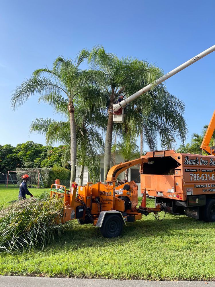 All Photos for Sam's Tree Service in Miami Beach,  FL