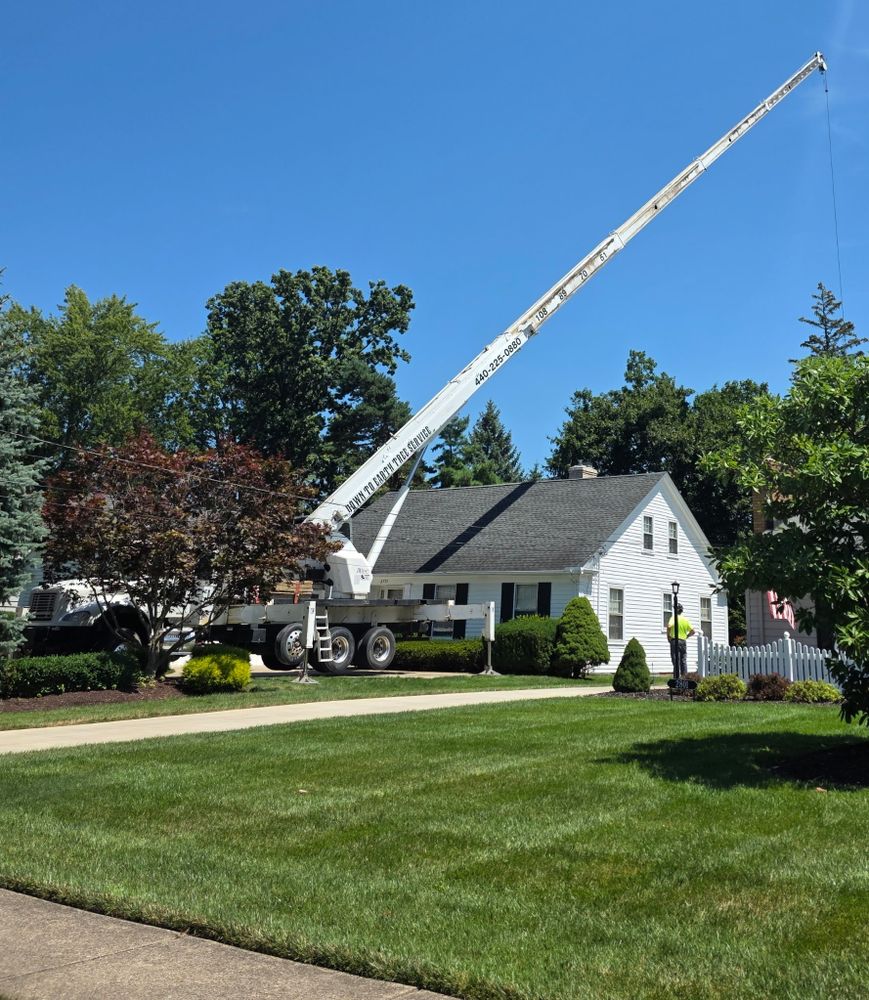 All Photos for Down To Earth Tree Service, LLC in Westlake, OH