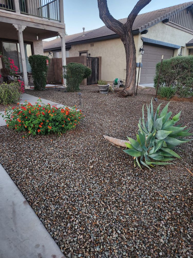 All Photos for Camacho AZ Landscaping in Peoria, AZ