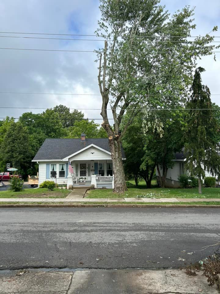 Tree Removal for Curtis Tree Service LLC in Hopkins County, KY