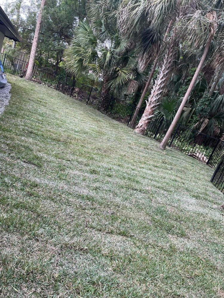 All Photos for Cunningham's Lawn & Landscaping LLC in Daytona Beach, Florida