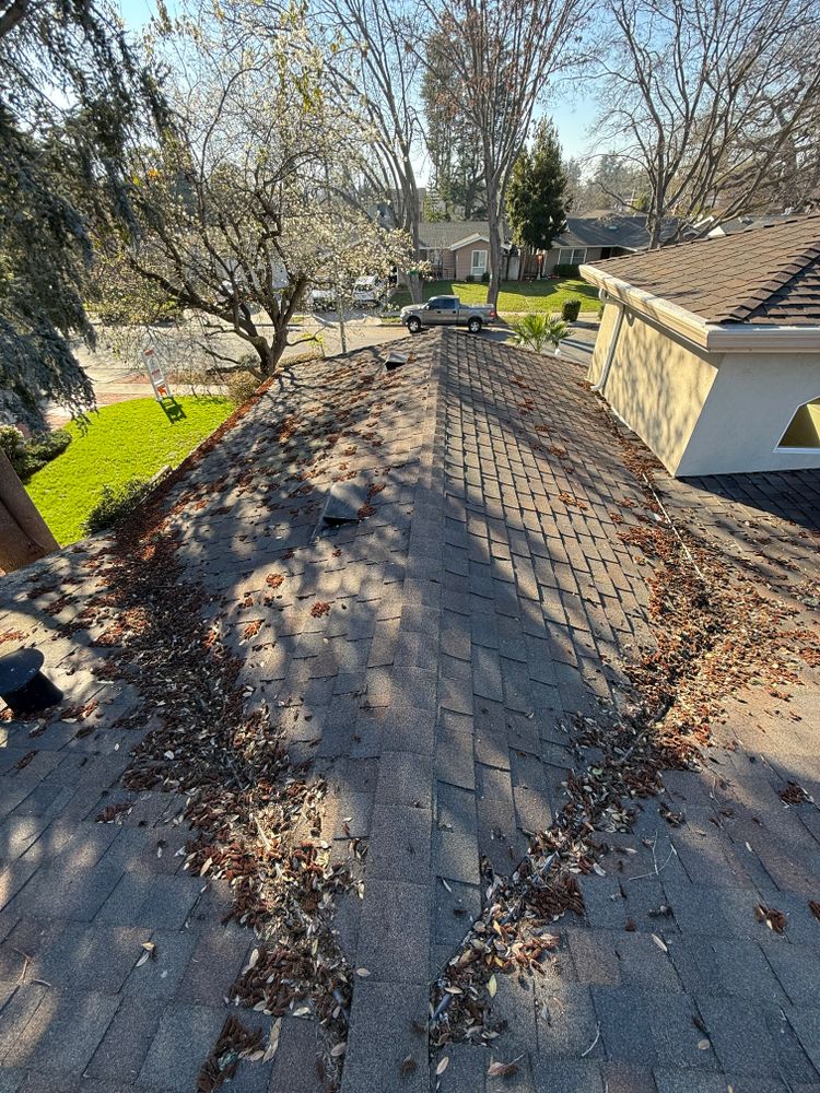 Moss Removal  for GGG Home Services in San Jose, CA