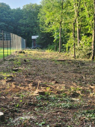 All Photos for Lawn Ranger Yard And Tree Service LLC in Ottumwa, IA