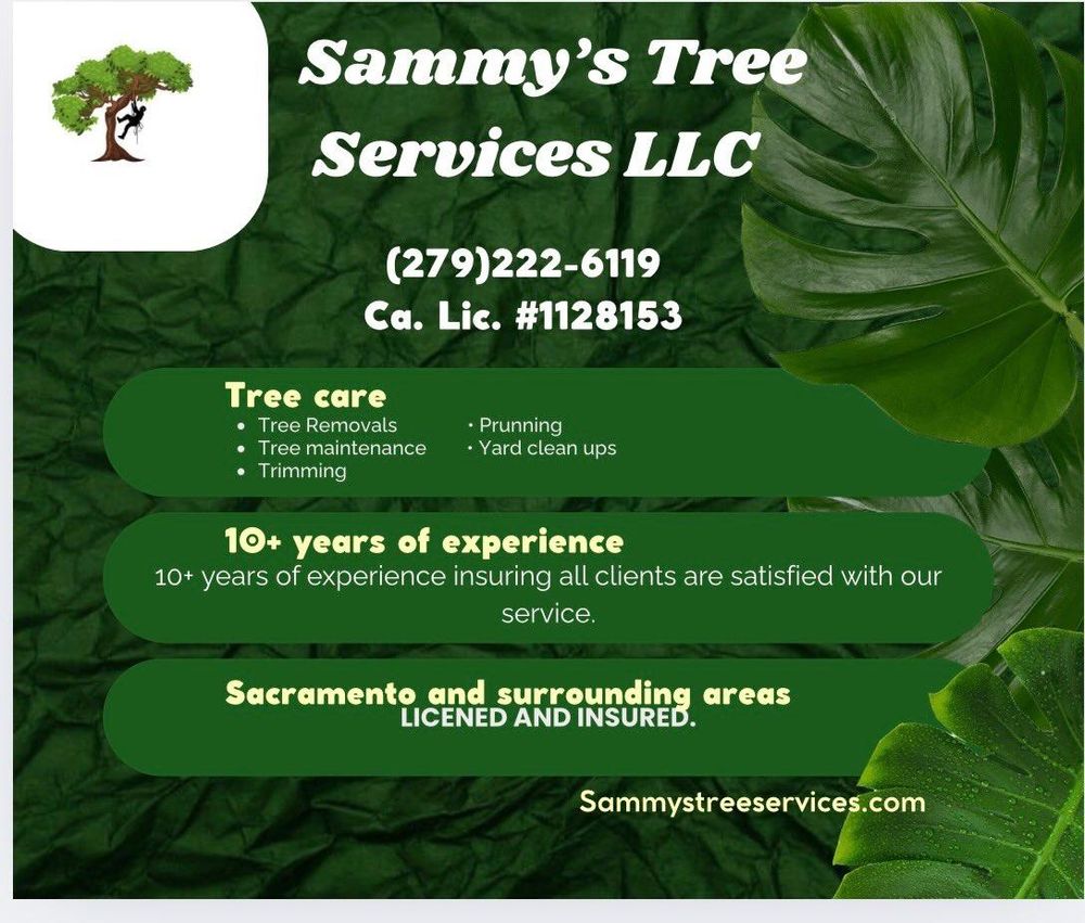 All Photos for Sammy's Tree Services in Sacramento, CA