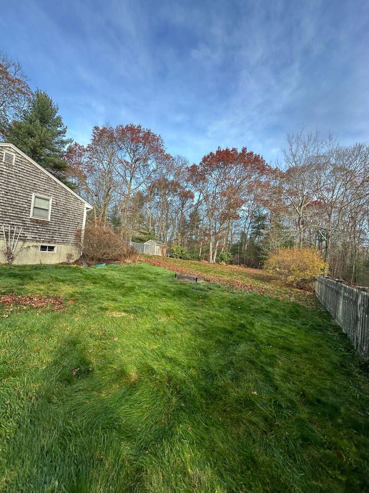 All Photos for Silver City Tree and Landscape in Taunton, MA