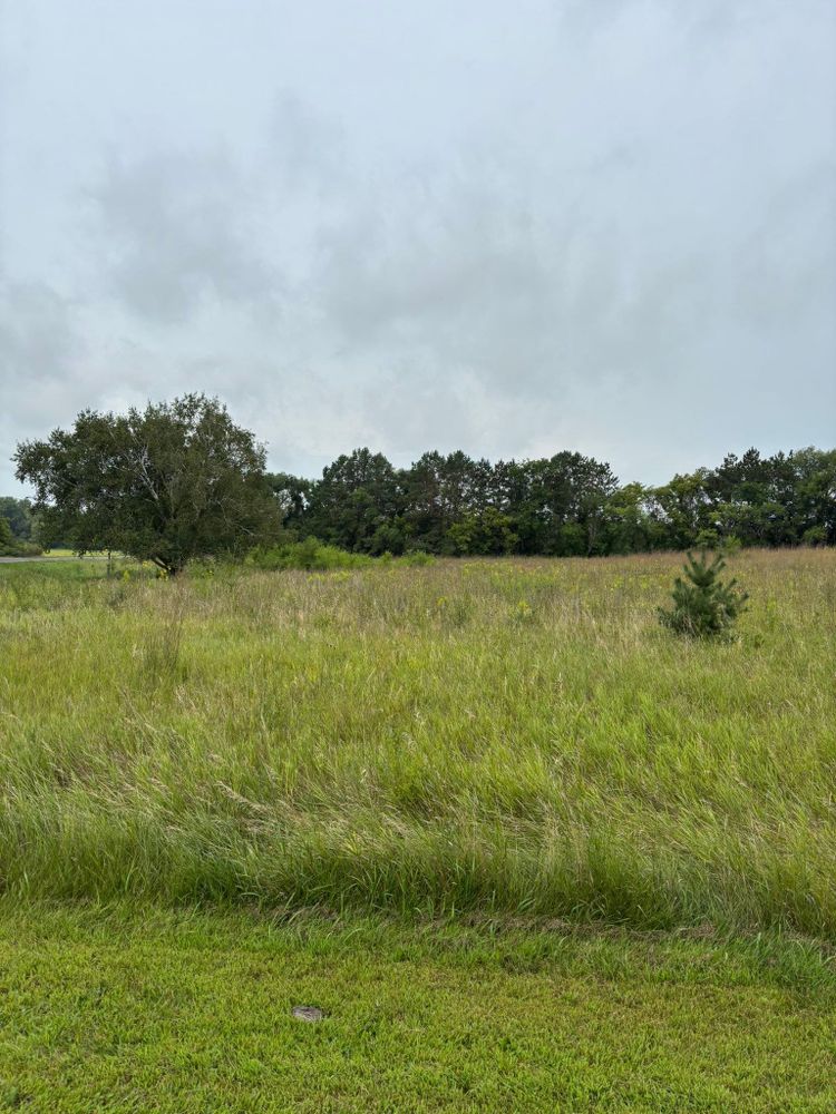 All Photos for Root Land Management in Watkins, MN