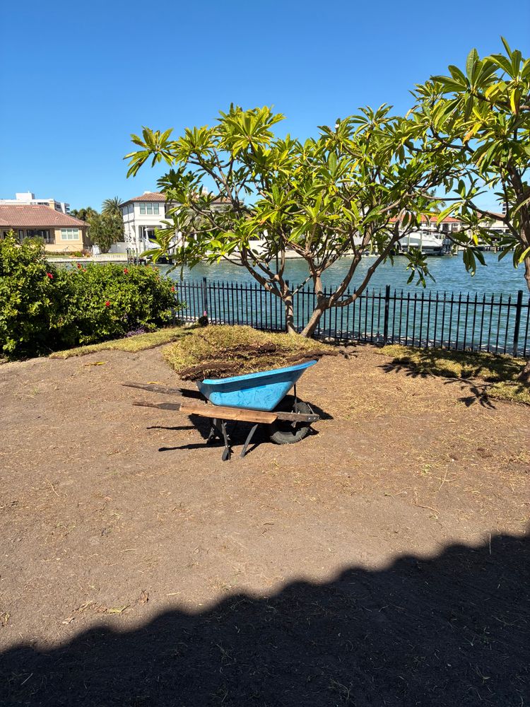 All Photos for Gulf Bay Sod in Clearwater, FL