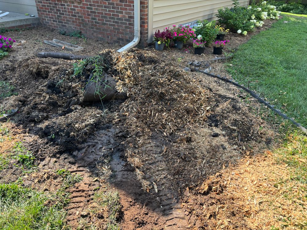 All Photos for Conrad's Stump Removal in Columbus, IN