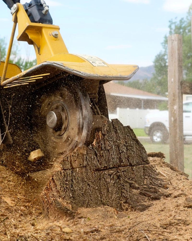 All Photos for Oakwood Tree Removal LLC in Oak Creek,  WI