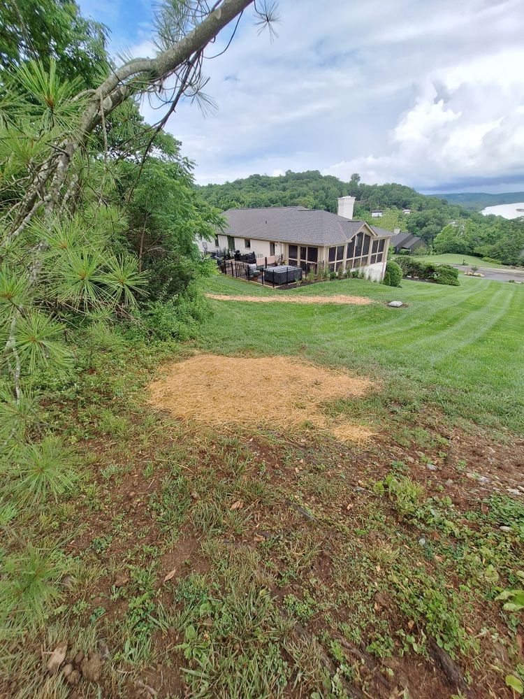 All Photos for Cincinnati’s Finest Landscape Services LLC in Cincinnati, OH