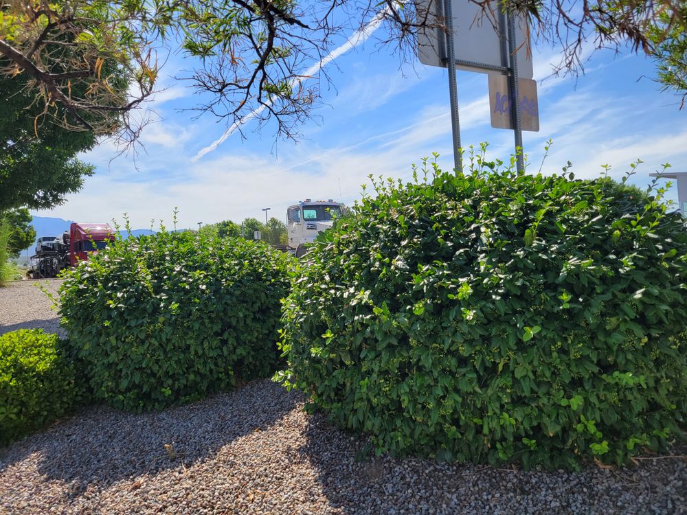 All Photos for 2 Brothers Landscaping in Albuquerque, NM