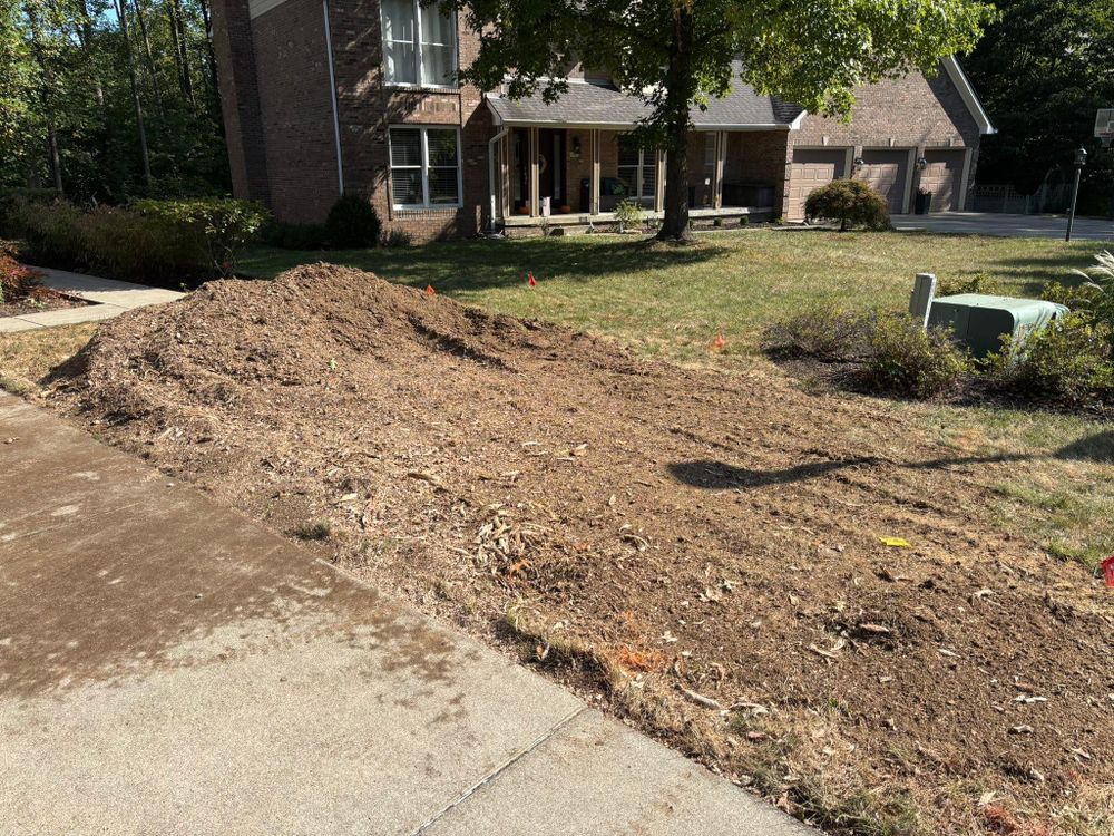 All Photos for Conrad's Stump Removal in Columbus, IN