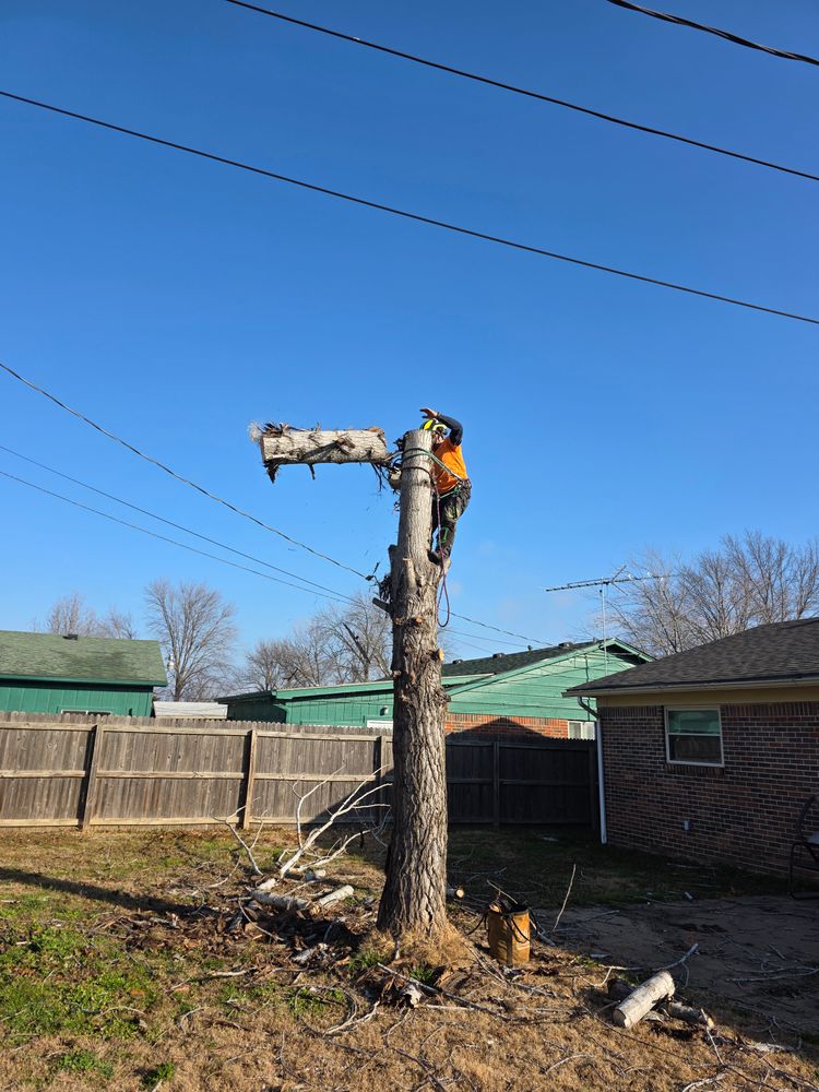 All Photos for Oklahoma Tree Guy in Bartlesville, OK