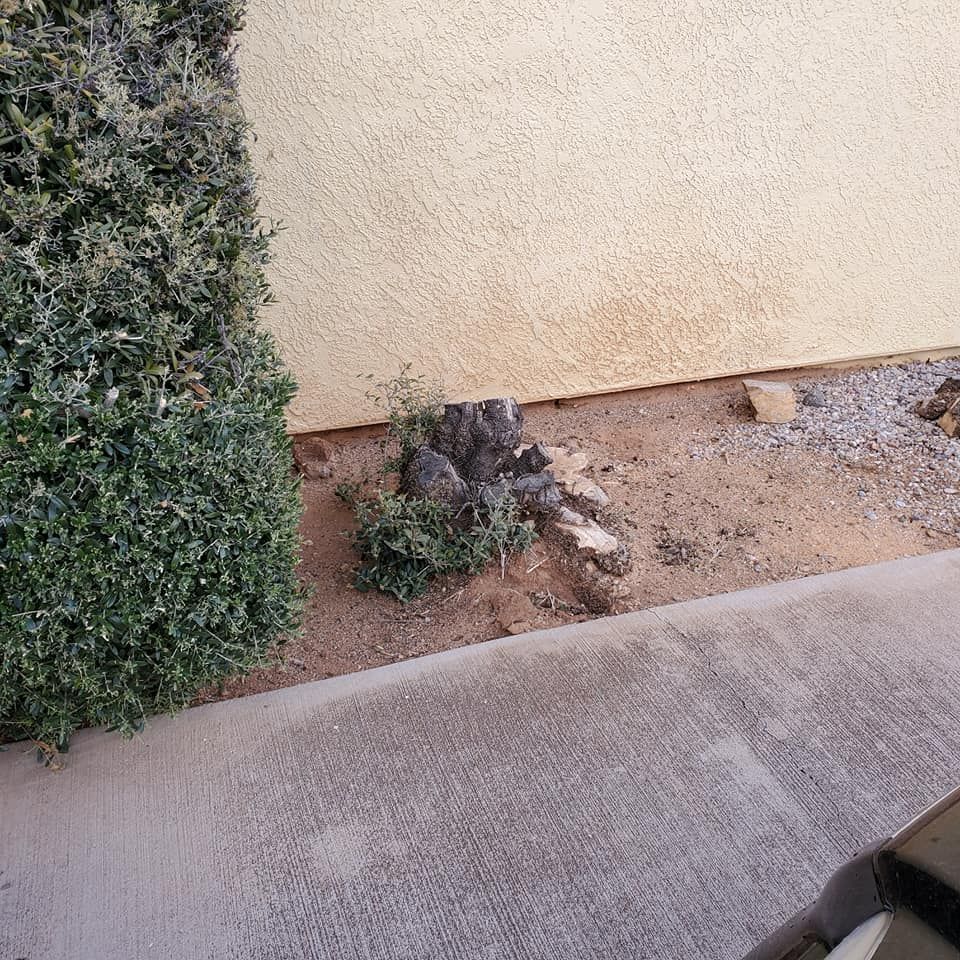 All Photos for A to Z Grounds Keeping in Sierra Vista, AZ