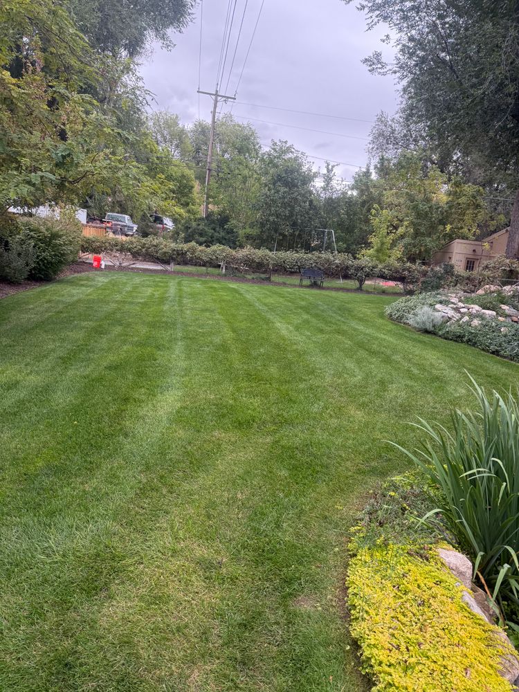 All Photos for Platinum Lawn Service in Santaquin, UT