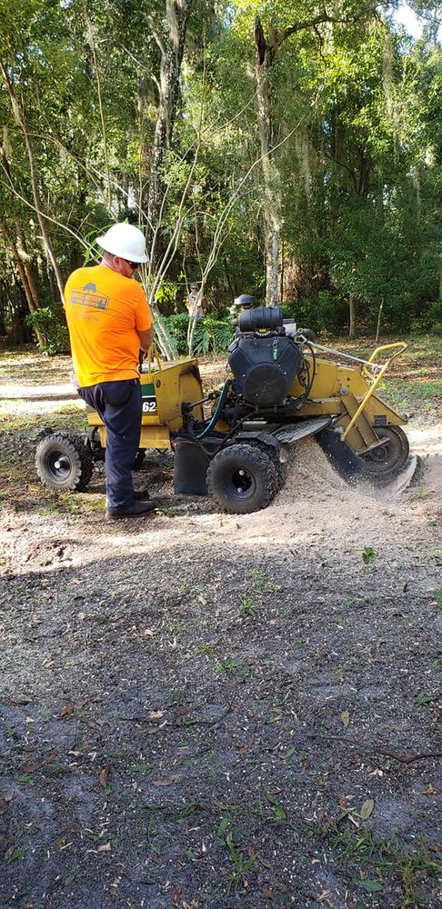 Tree Removal for Daniel Hickey’s Tree Service in DeLand, FL