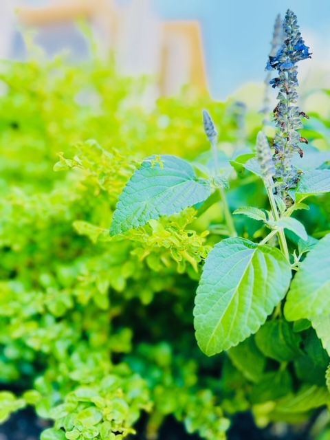 All Photos for Rustic Roots Landscaping in Austin, TX