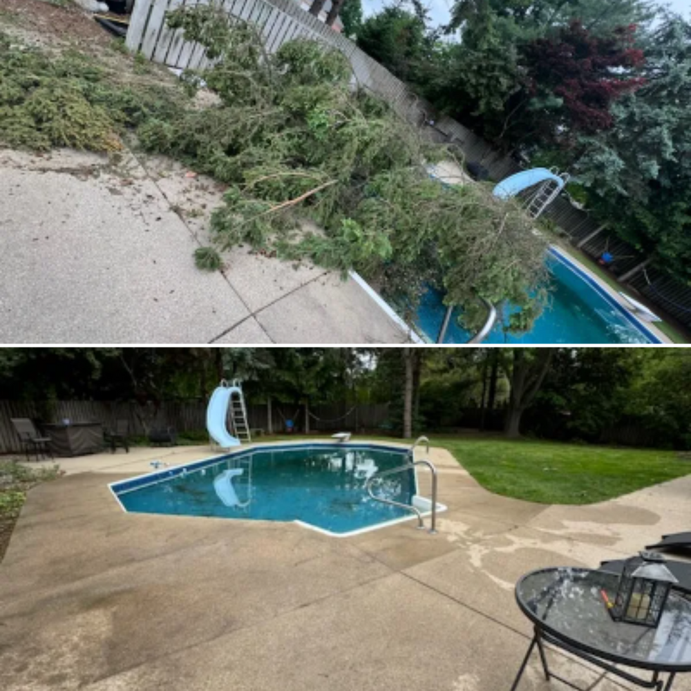 Storm Cleanup: Before and After for Branching Out Tree Service in Hastings, MI