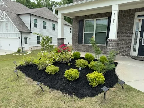Our Shrub Trimming service expertly manicures your garden by shaping and maintaining shrubs for optimal health and appearance, enhancing your landscape’s overall aesthetic while ensuring proper growth throughout the changing seasons. for Palmour's Lawn Care in Gainesville, GA
