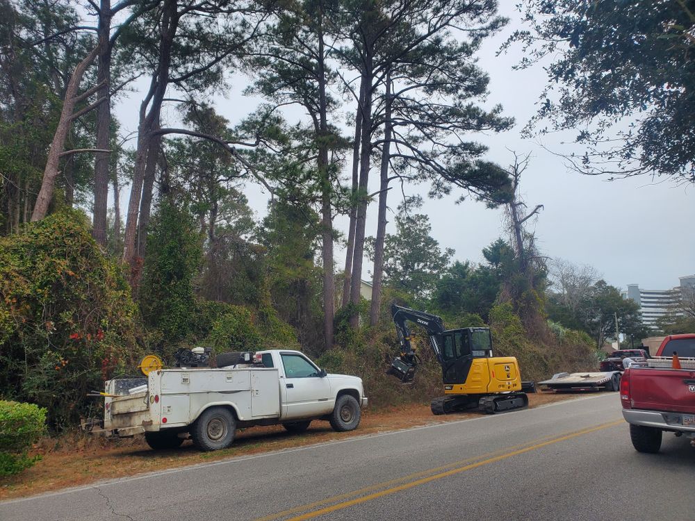 All Photos for TJ Farm and Land Management in Loris, SC